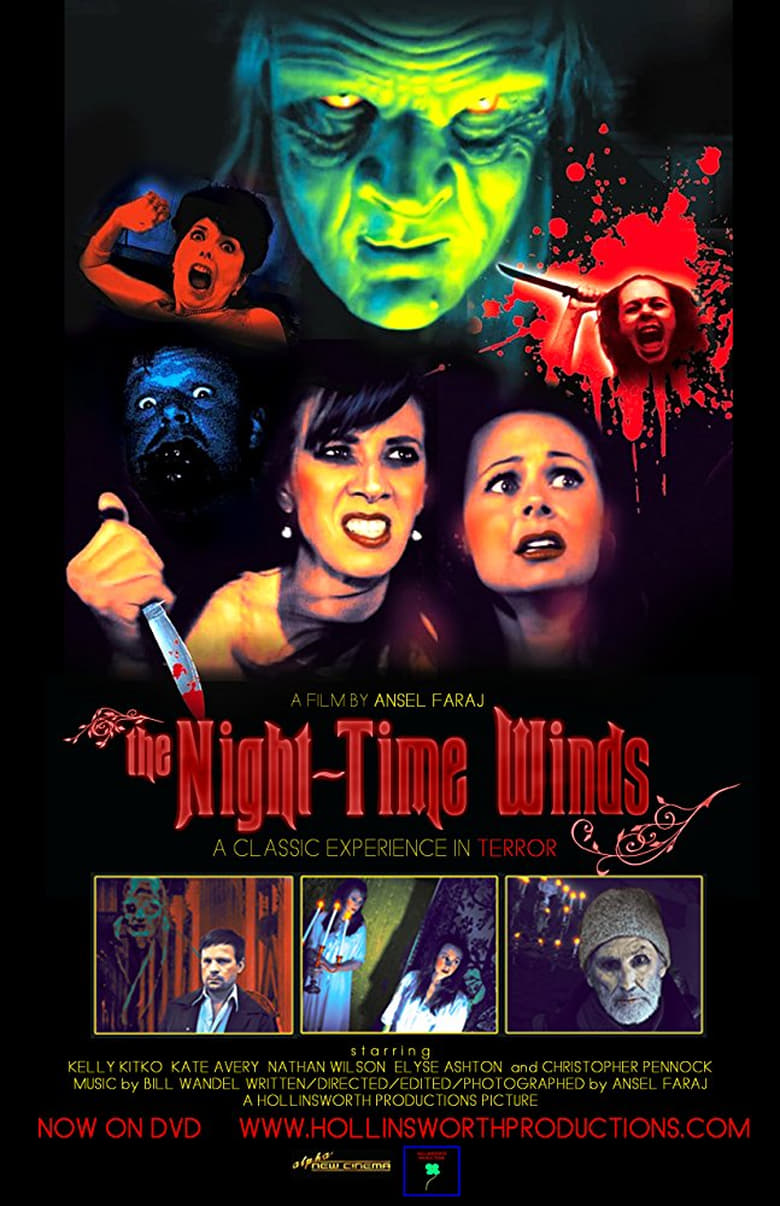 Poster of The Night-Time Winds