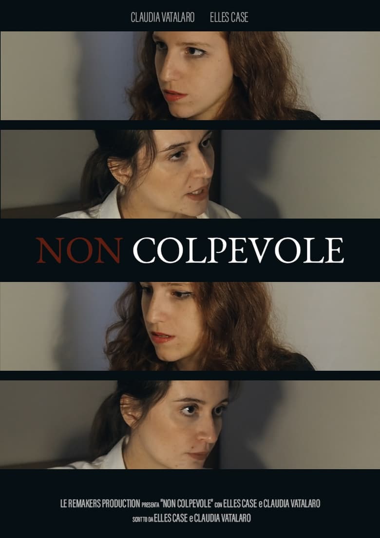 Poster of Non colpevole