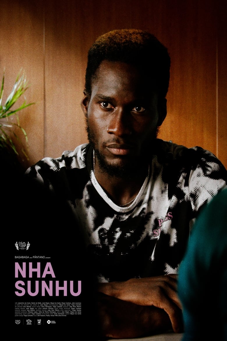 Poster of Nha Sunhu