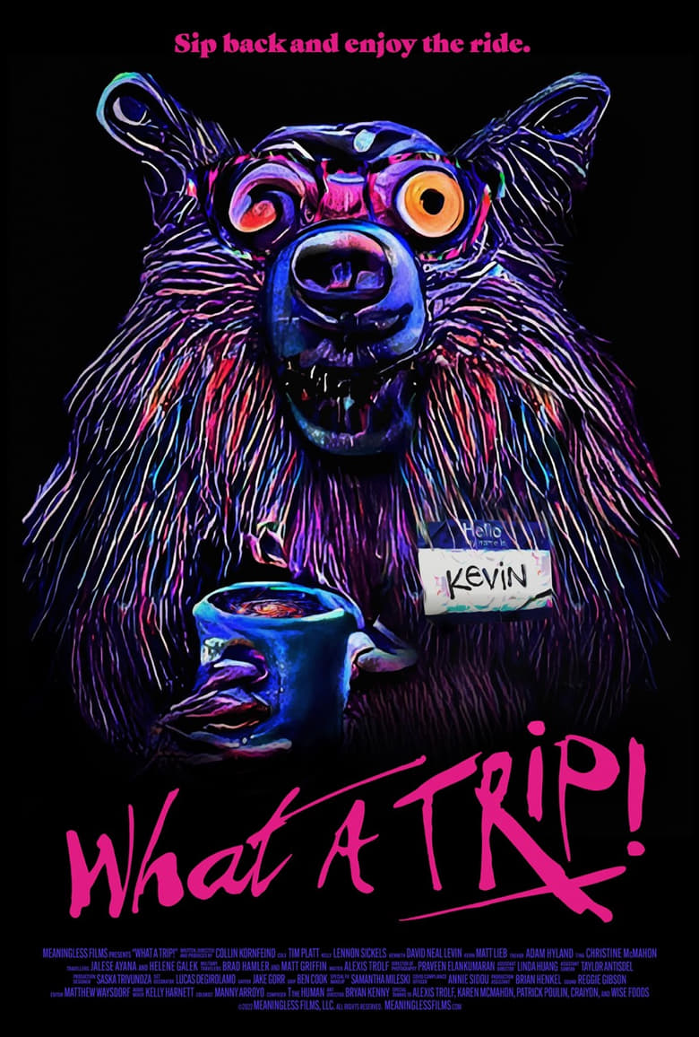 Poster of What a Trip!