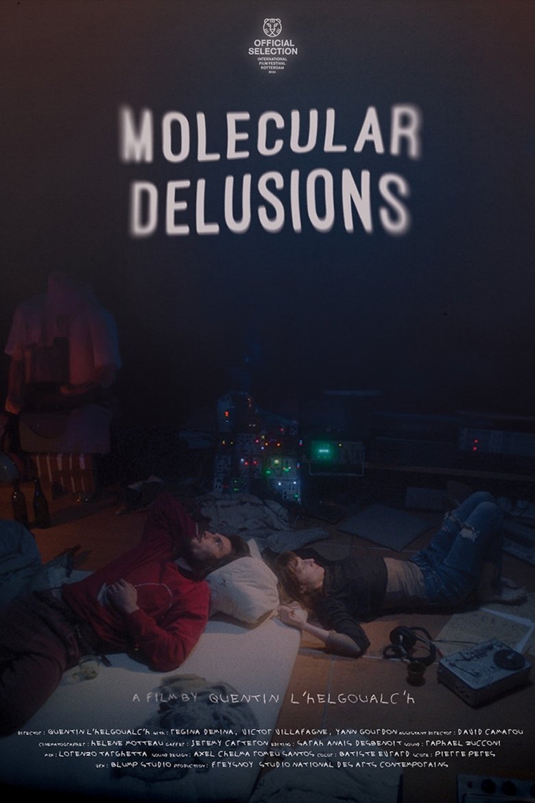 Poster of Molecular Delusions