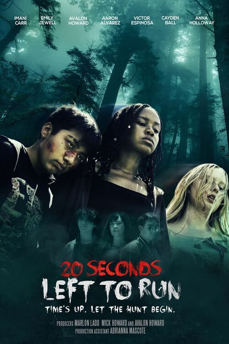 Poster of 20 Seconds Left to Run