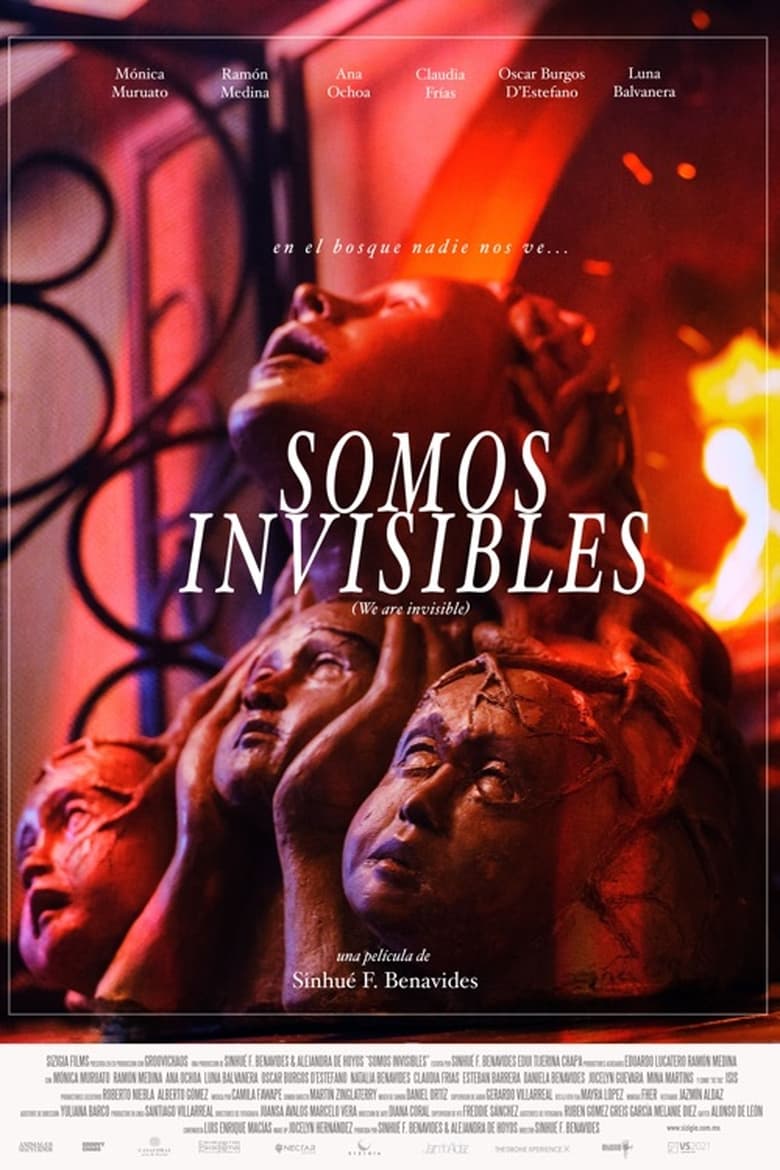 Poster of Somos invisibles