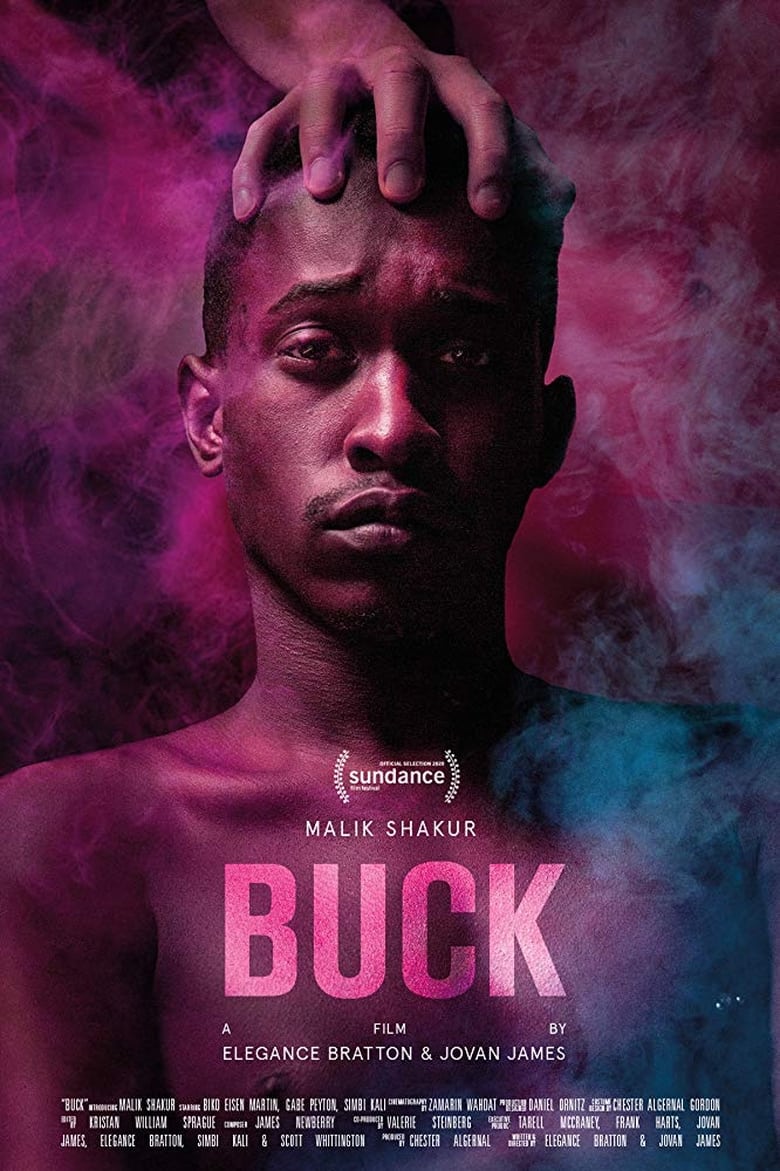 Poster of Buck