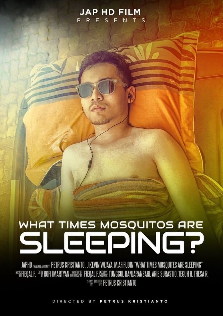 Poster of What Times Mosquitos Are Sleeping?