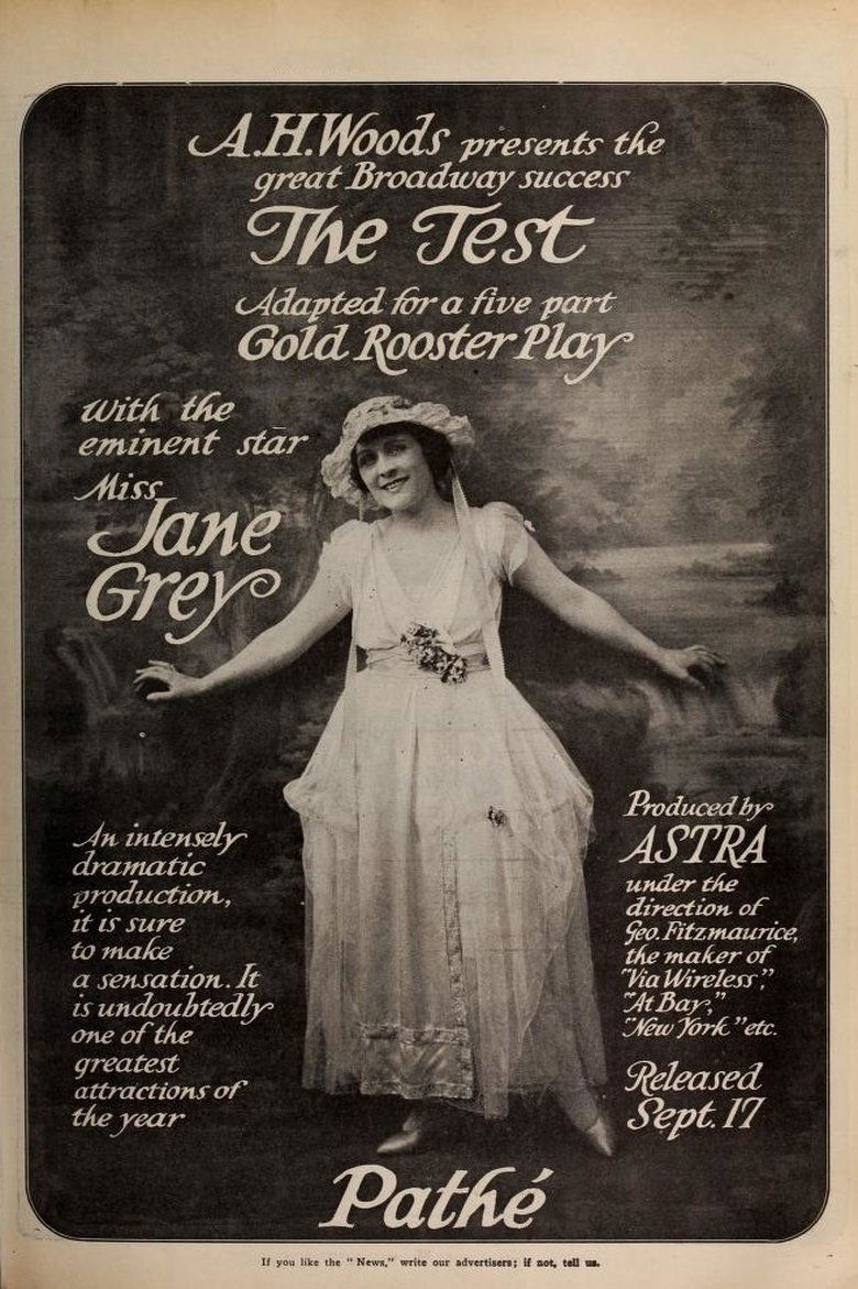 Poster of The Test