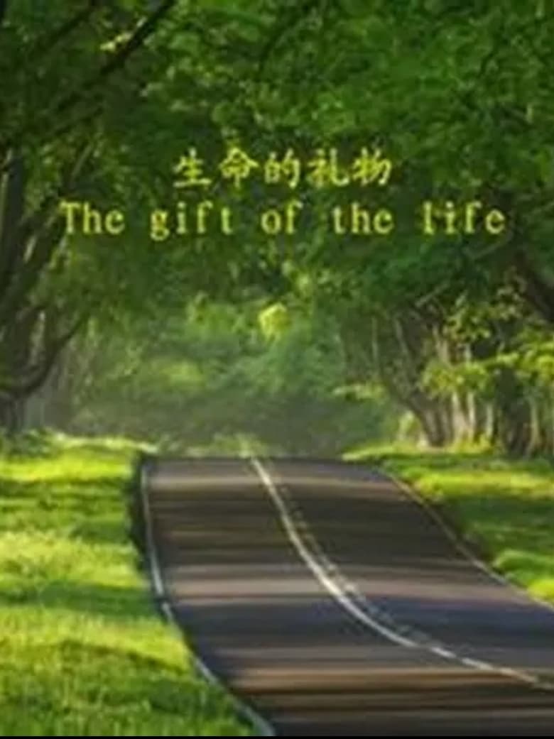 Poster of The Gift of the Life