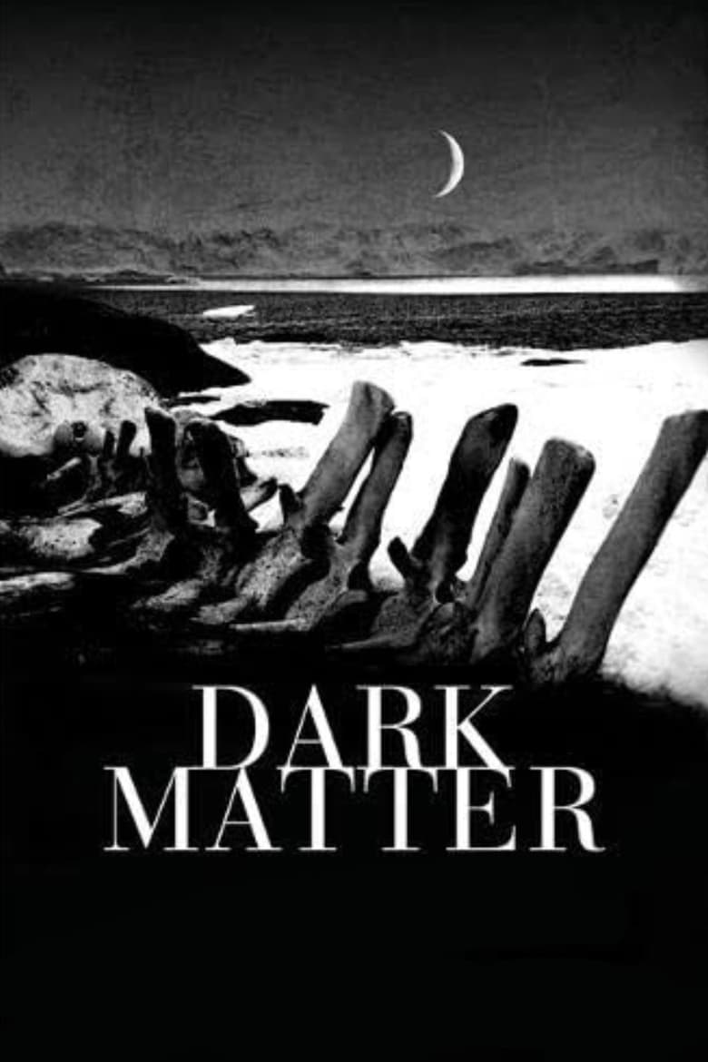 Poster of Dark Matter