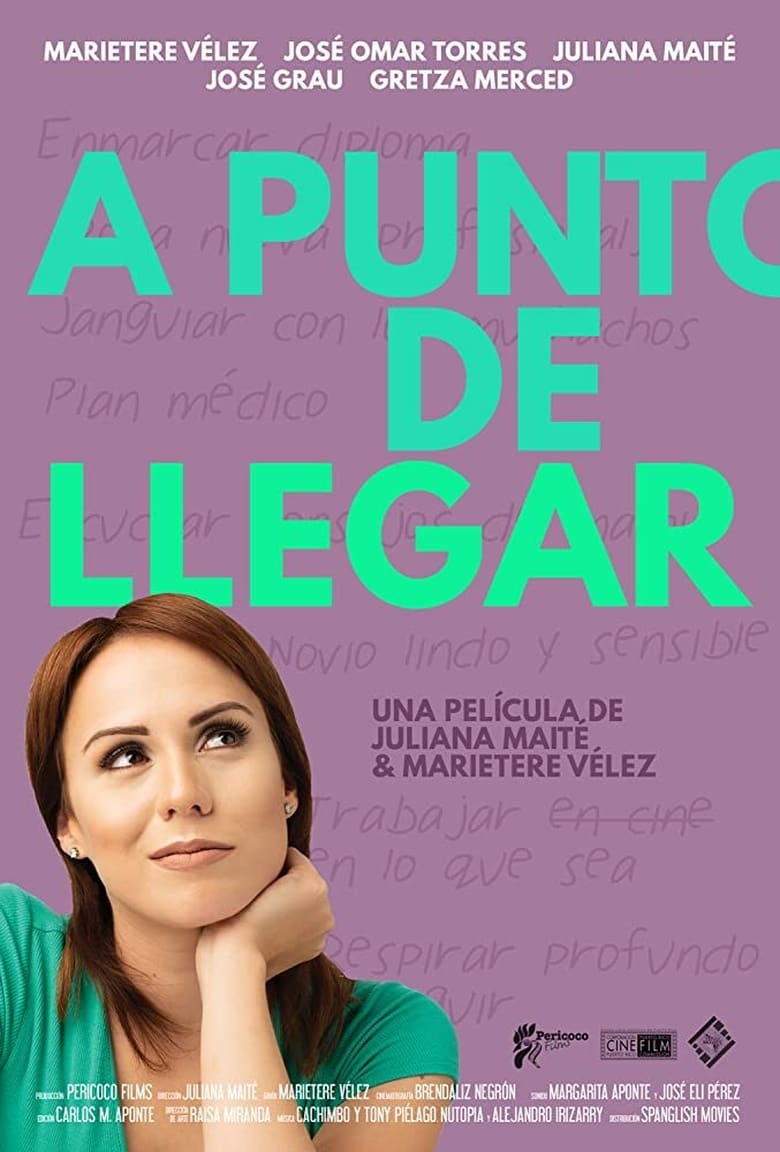 Poster of A punto de llegar