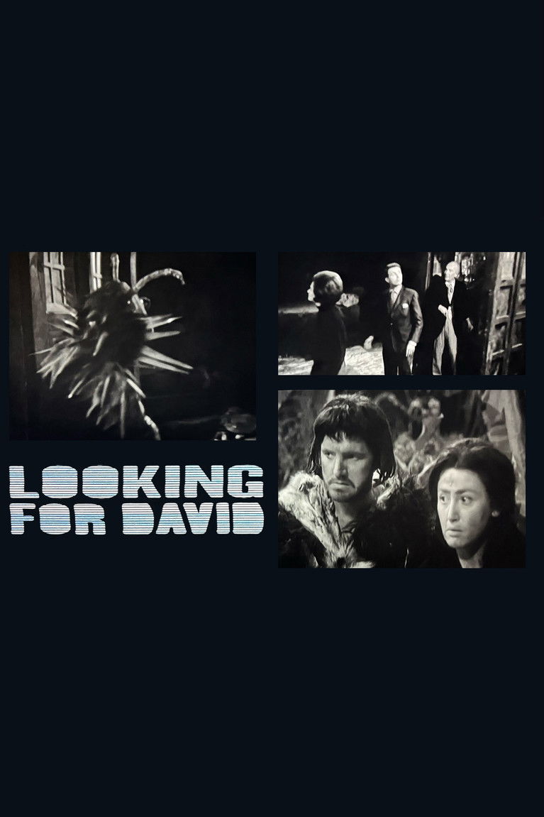 Poster of Looking for David