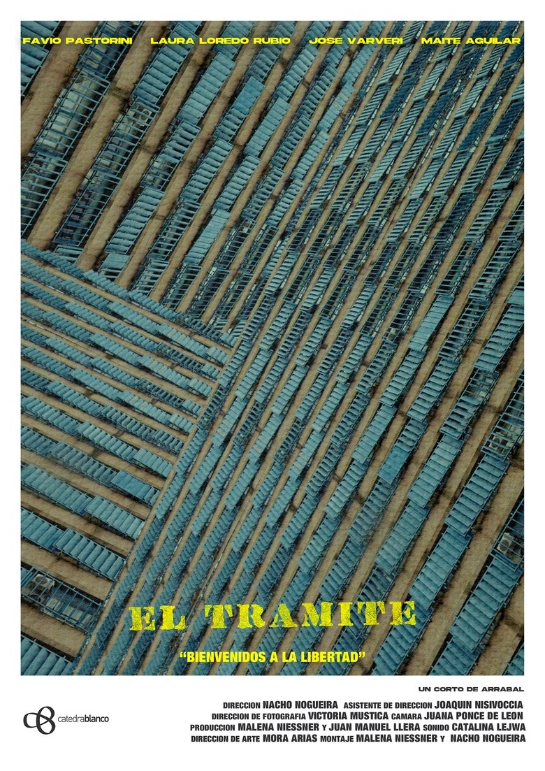Poster of The Procedure