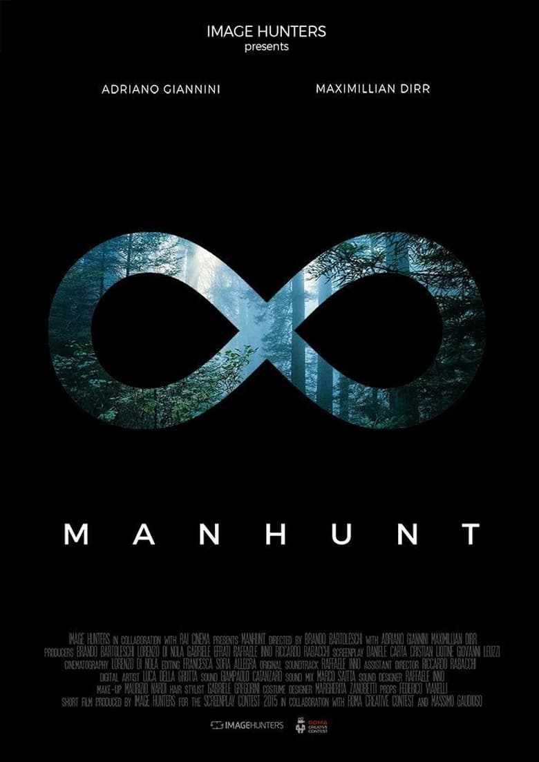 Poster of Manhunt