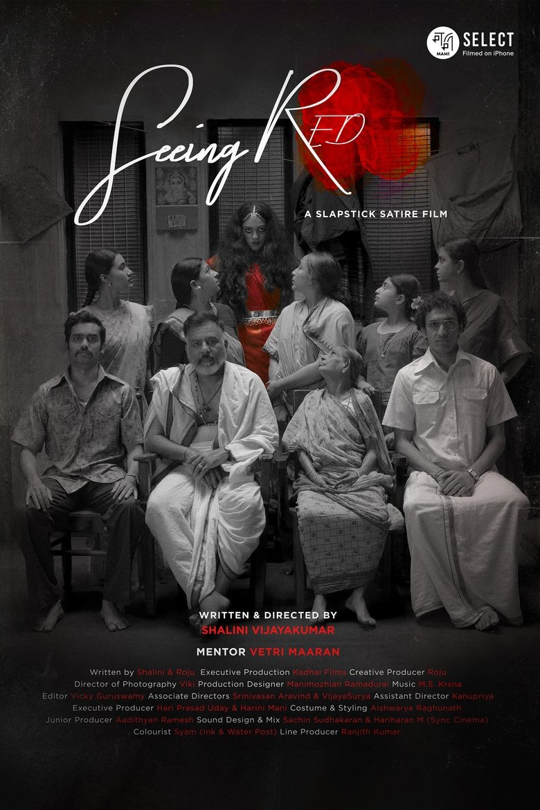 Poster of Seeing Red