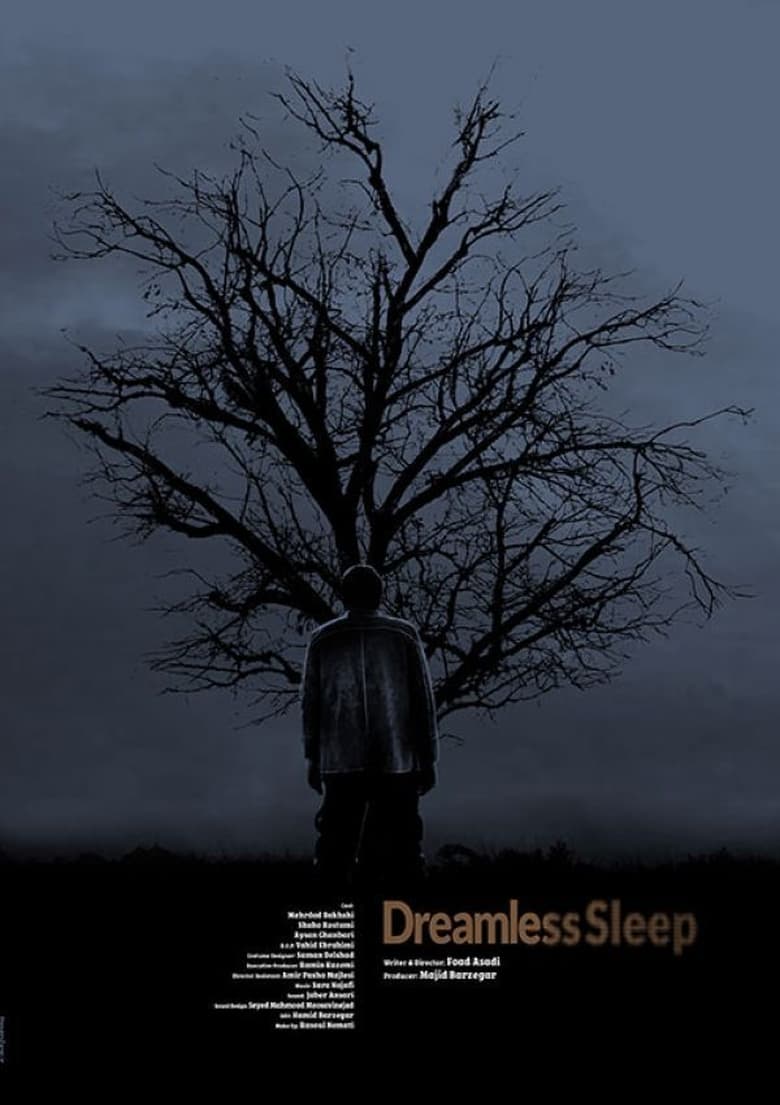 Poster of Dreamless Sleep