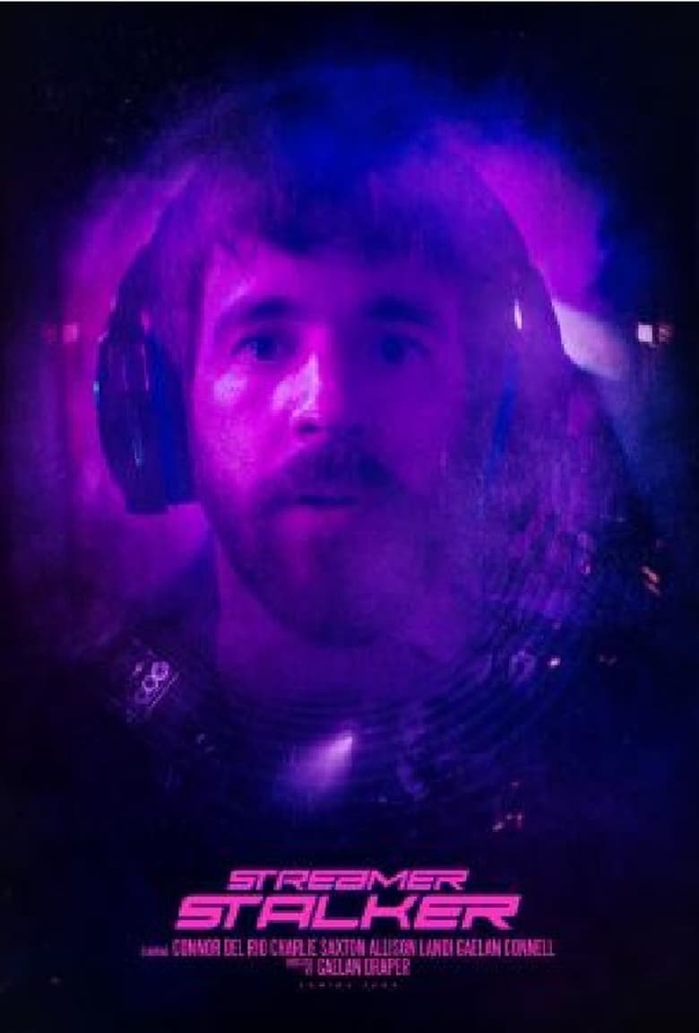 Poster of Streamer Stalker