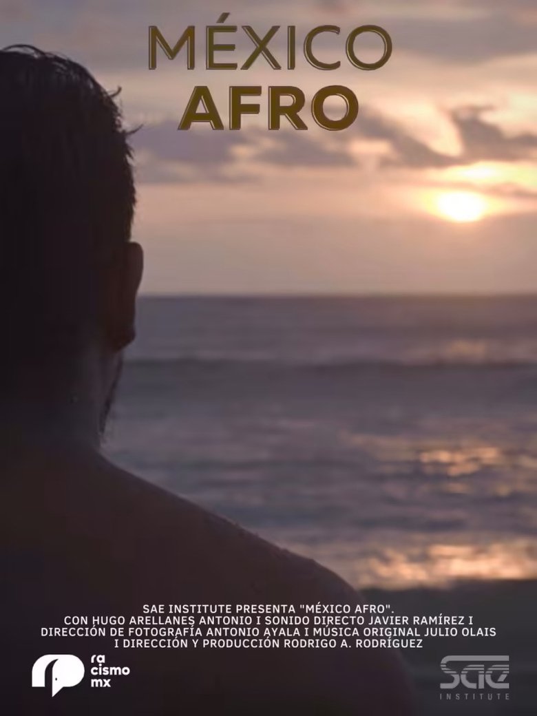 Poster of México Afro