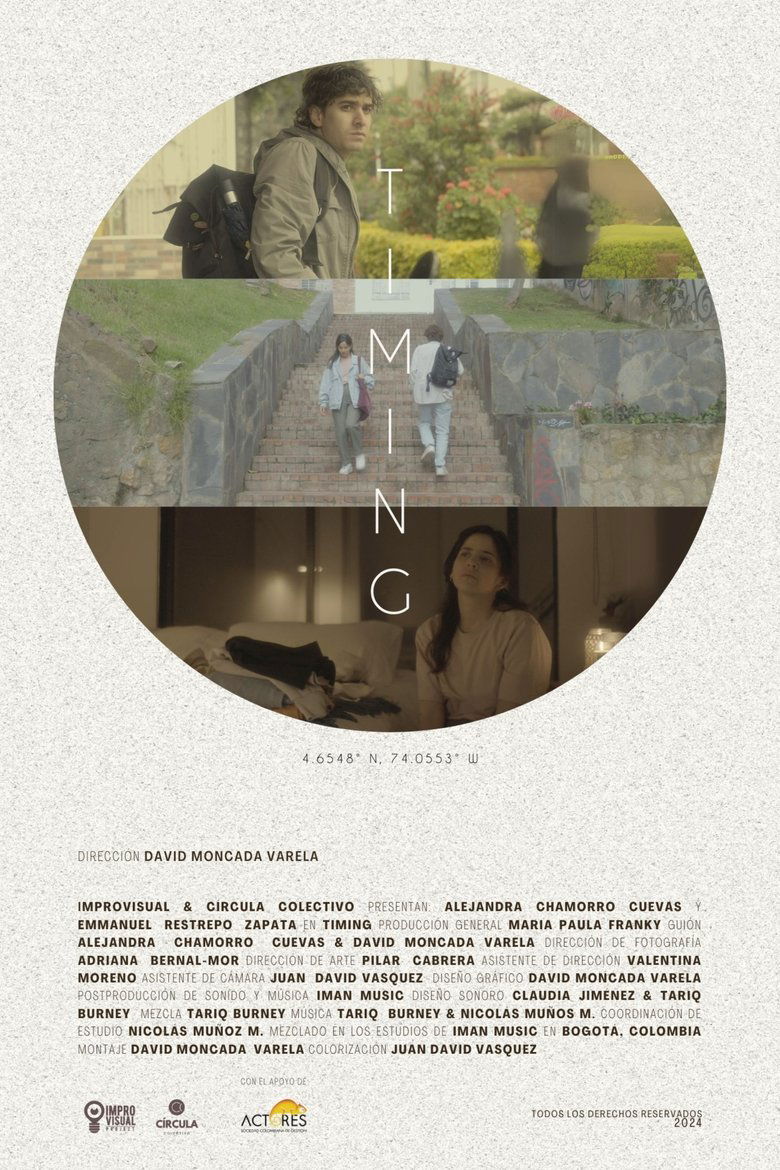Poster of Timing