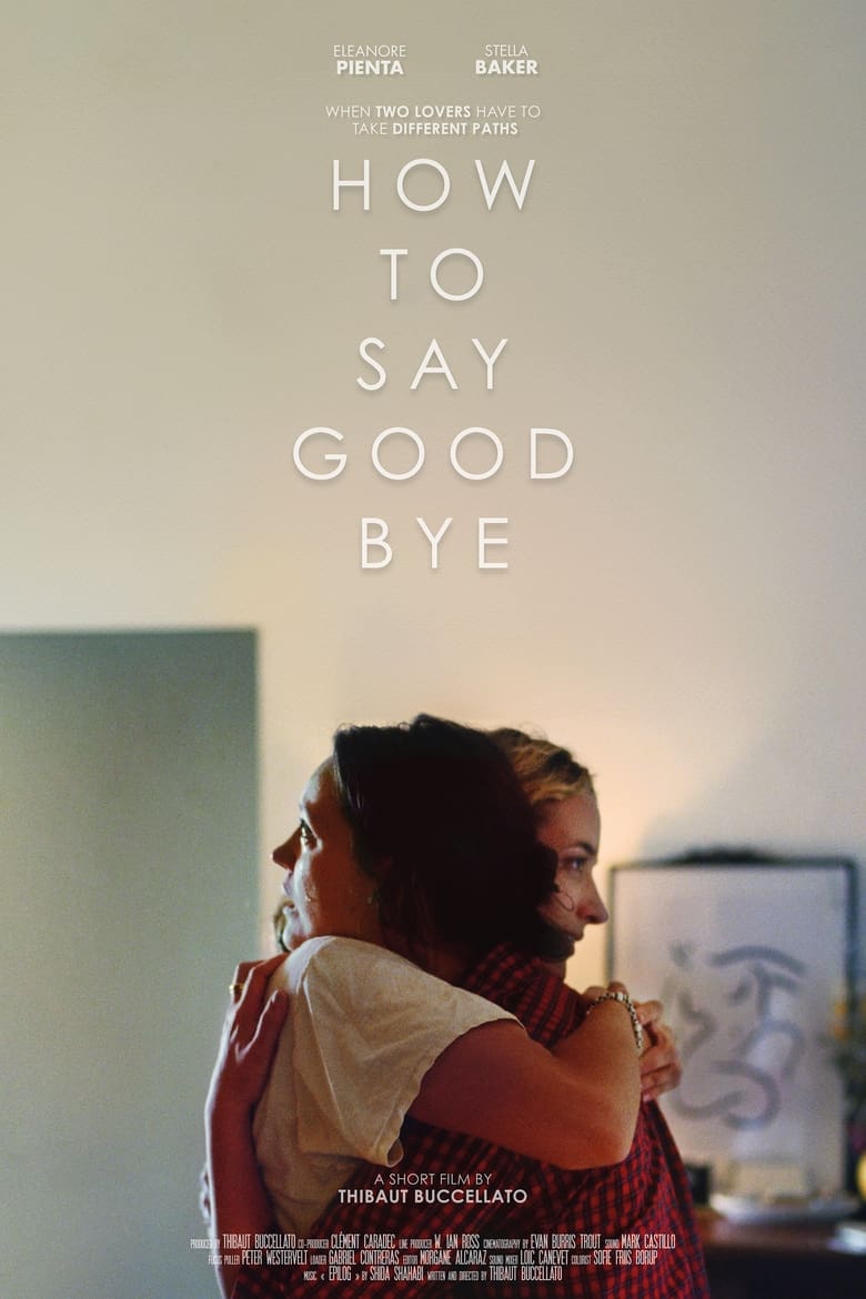 Poster of How to say goodbye