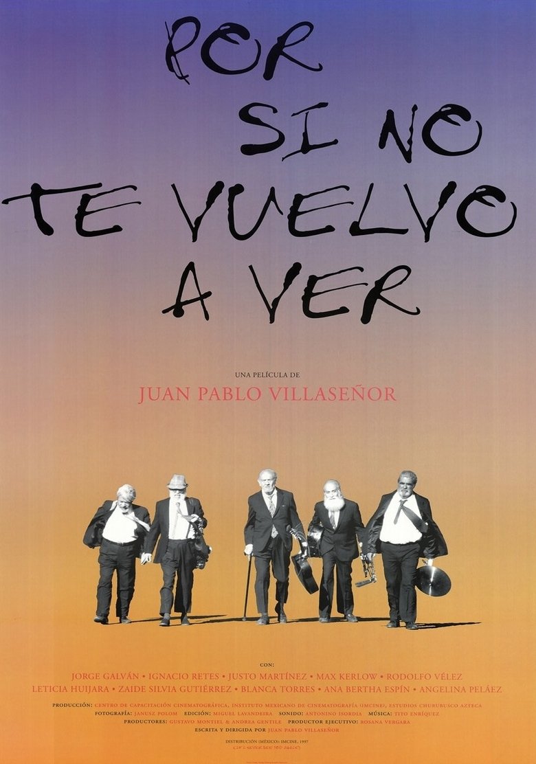 Poster of If I Never See You Again