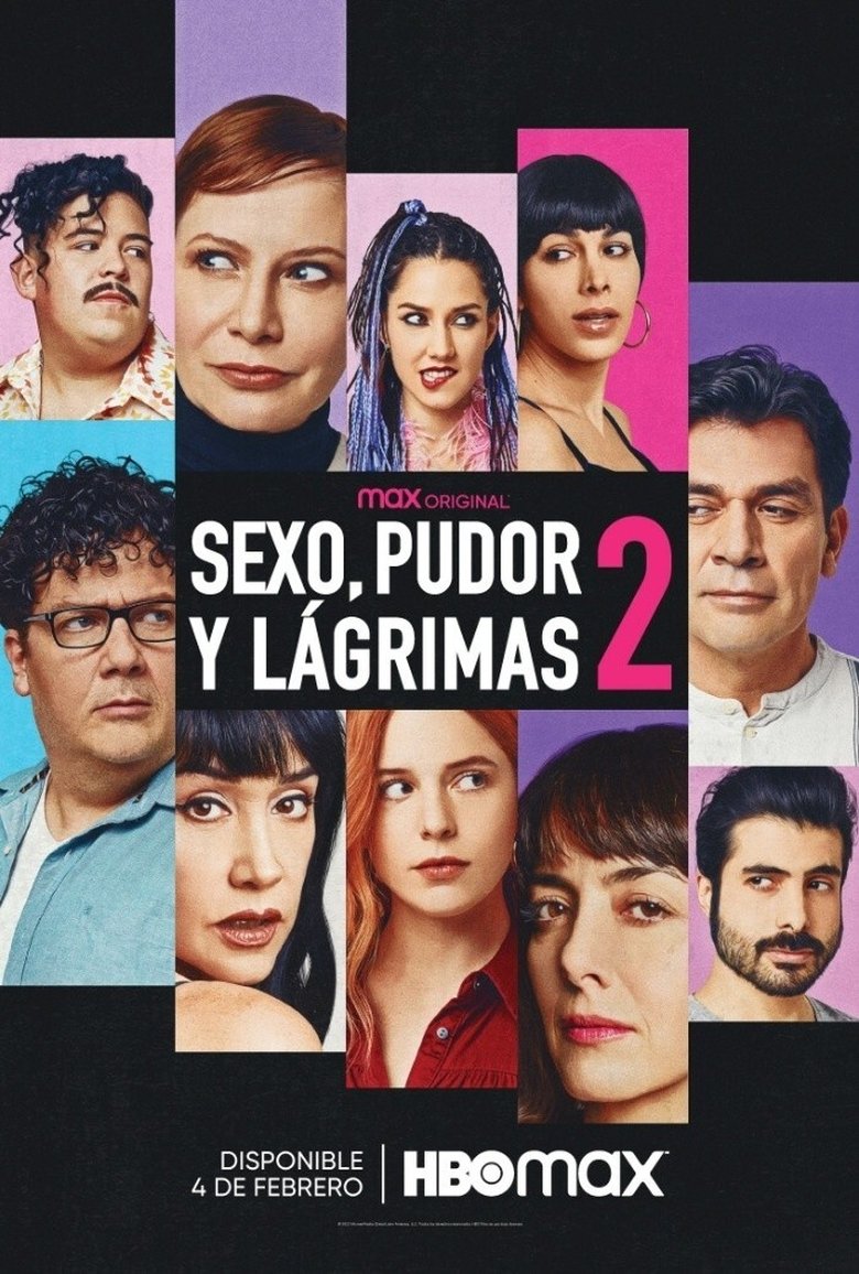 Poster of Sex, Shame and Tears 2