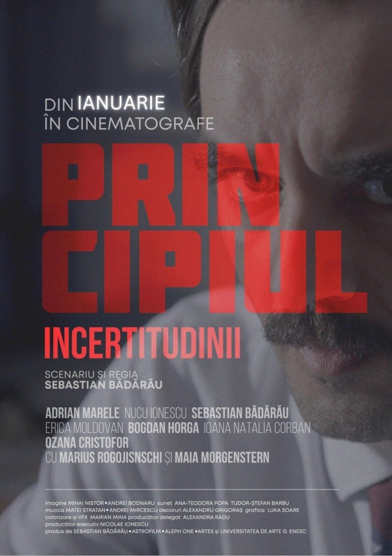 Poster of Principiul incertitudinii
