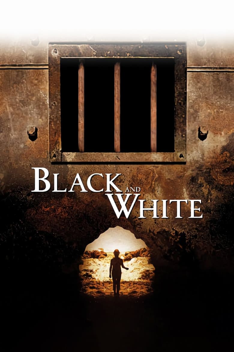 Poster of Black and White