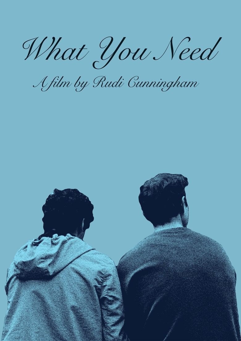 Poster of What You Need