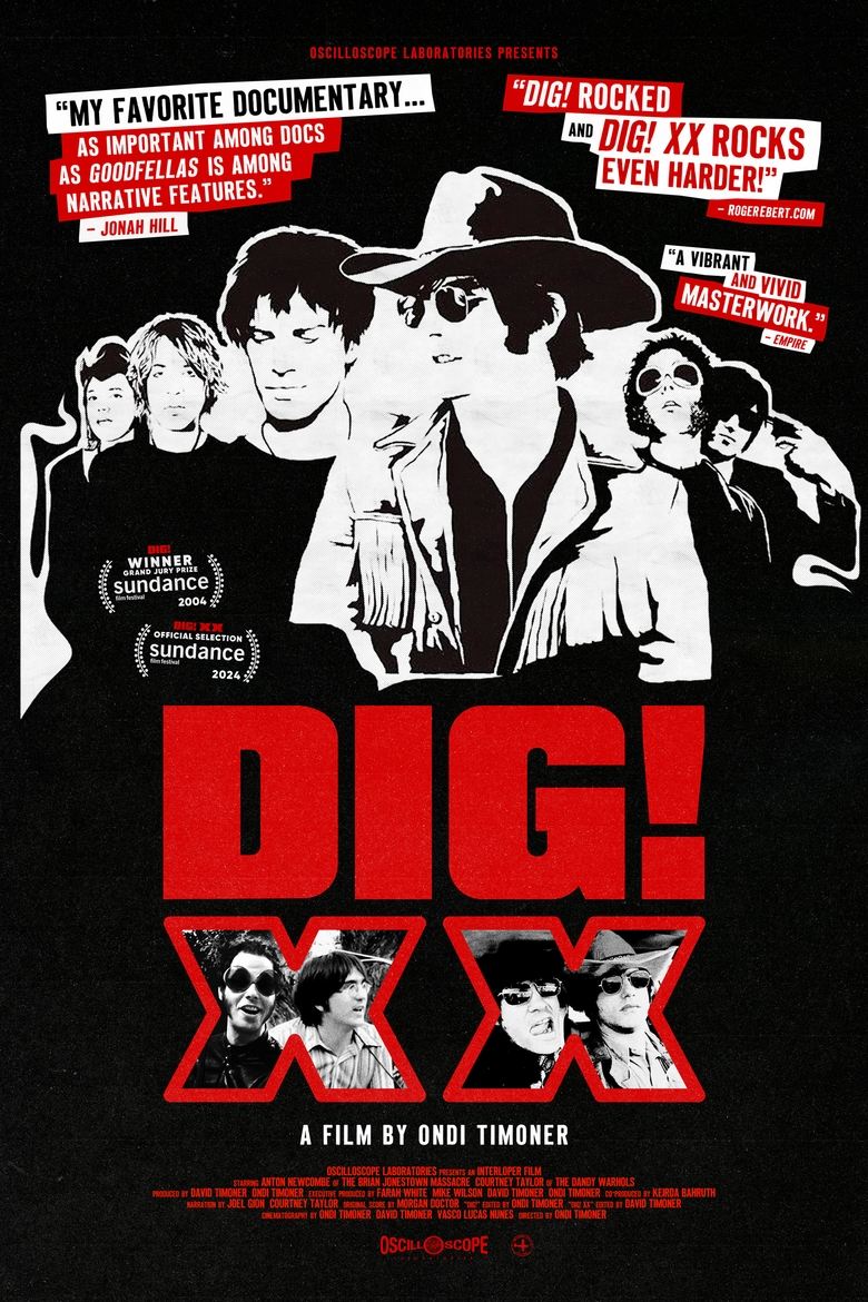 Poster of DIG! XX