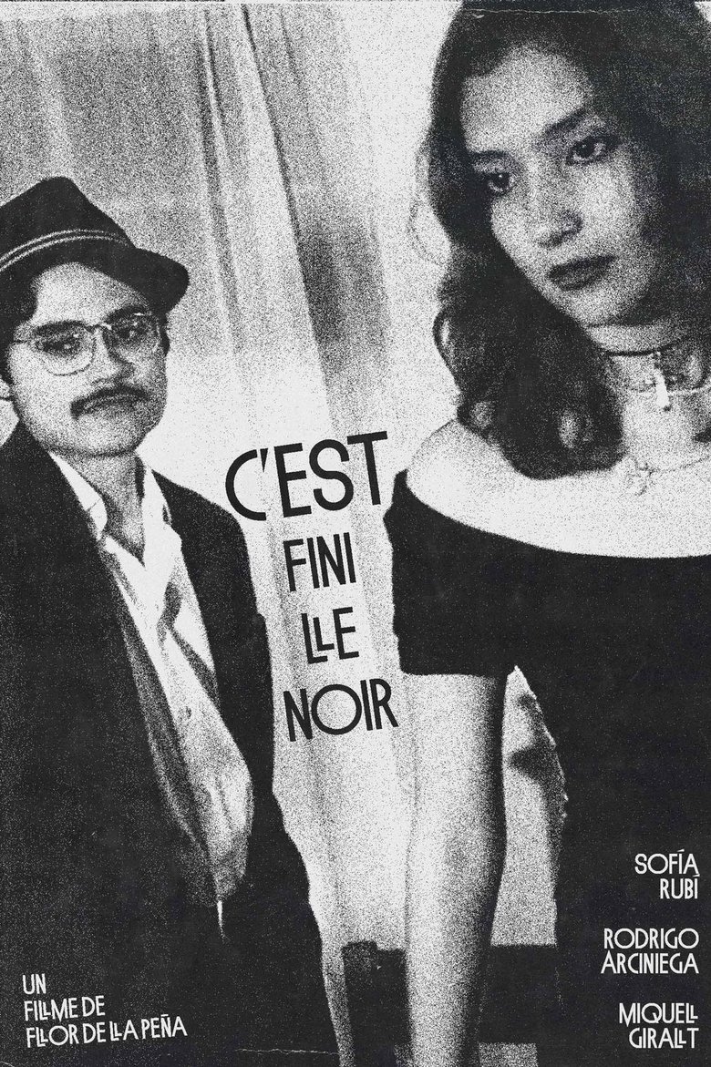 Poster of C’est fini le noir