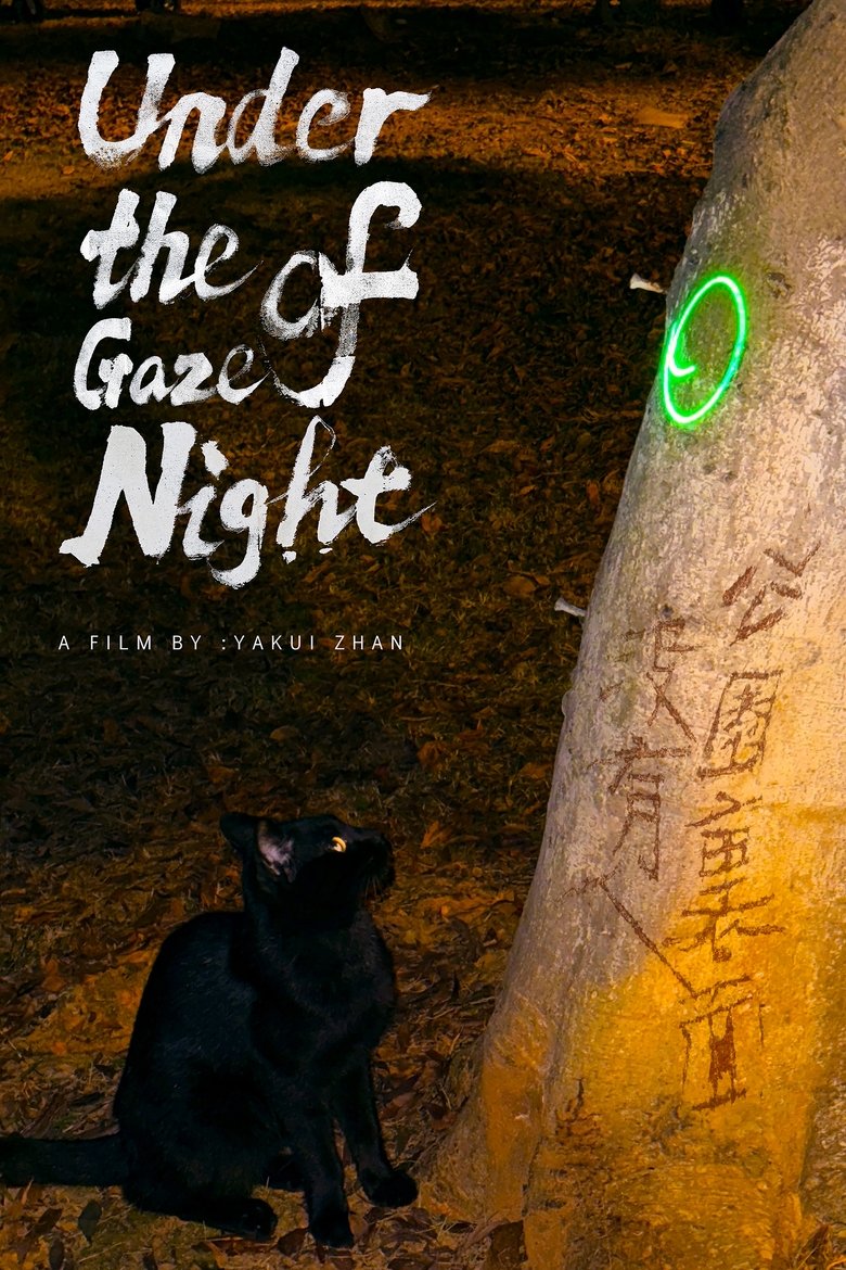Poster of Under the Gaze of Night