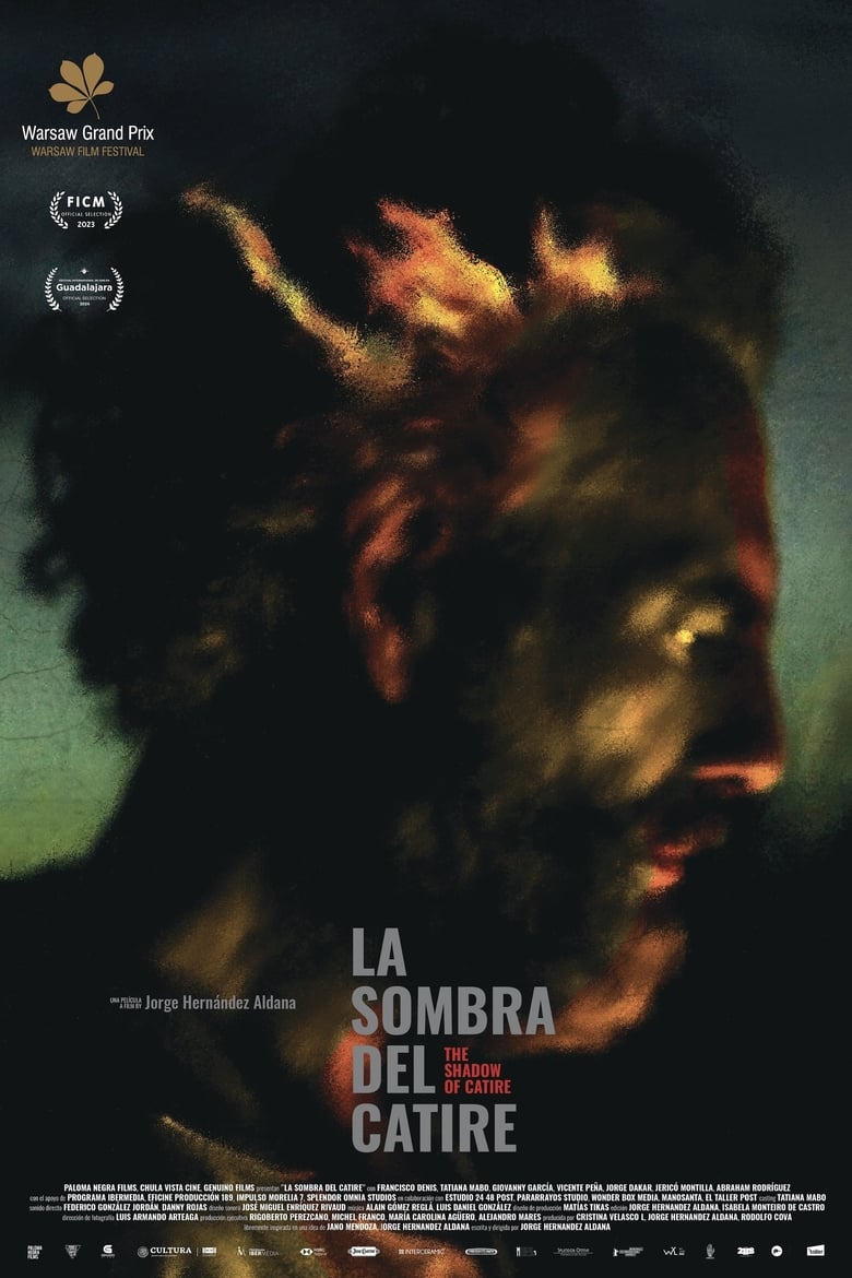 Poster of La sombra del Catire