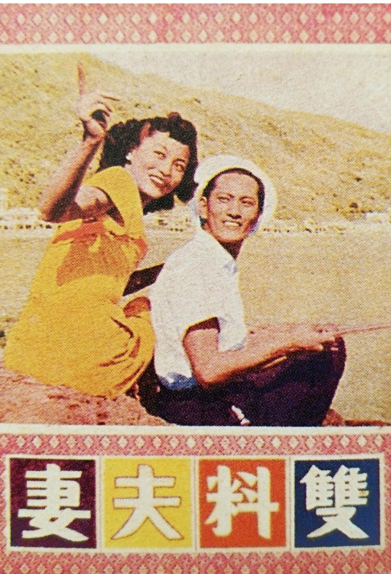 Poster of 双料夫妻