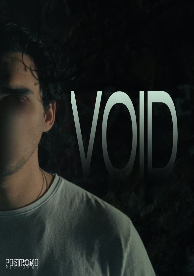 Poster of Void