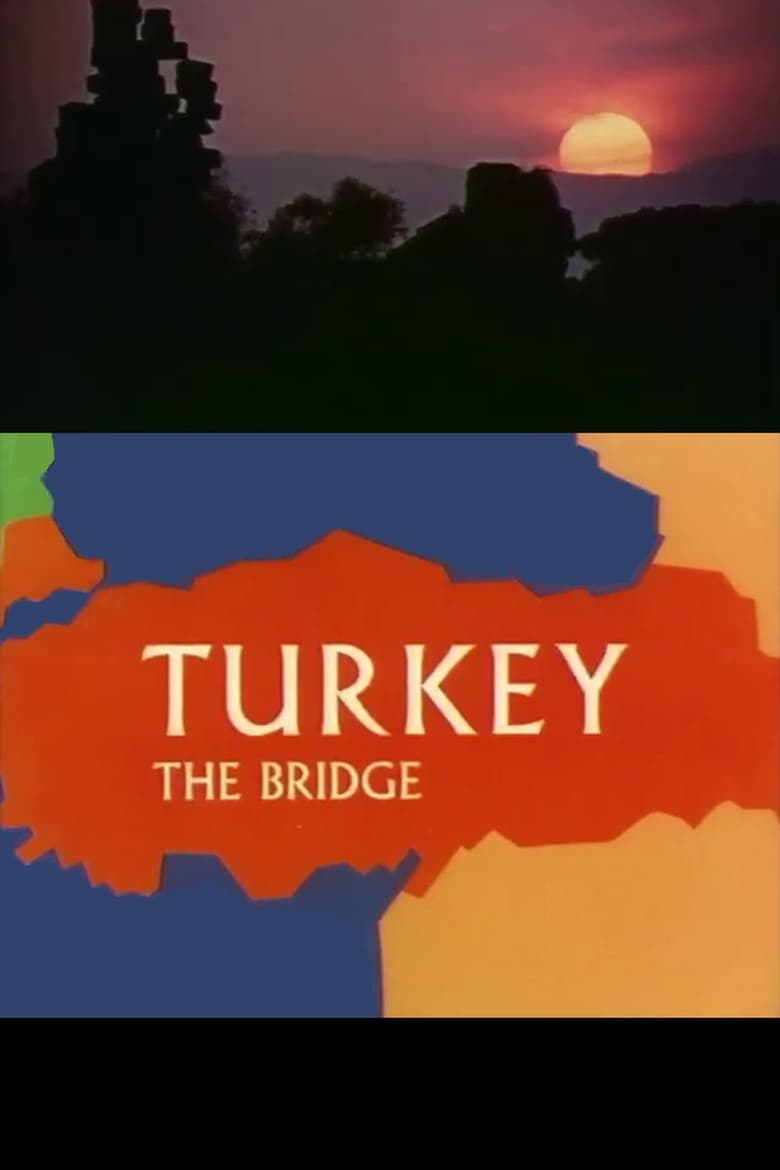 Poster of Turkey: The Bridge