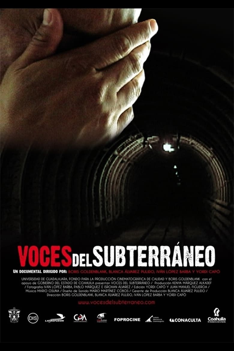 Poster of Underground Voices