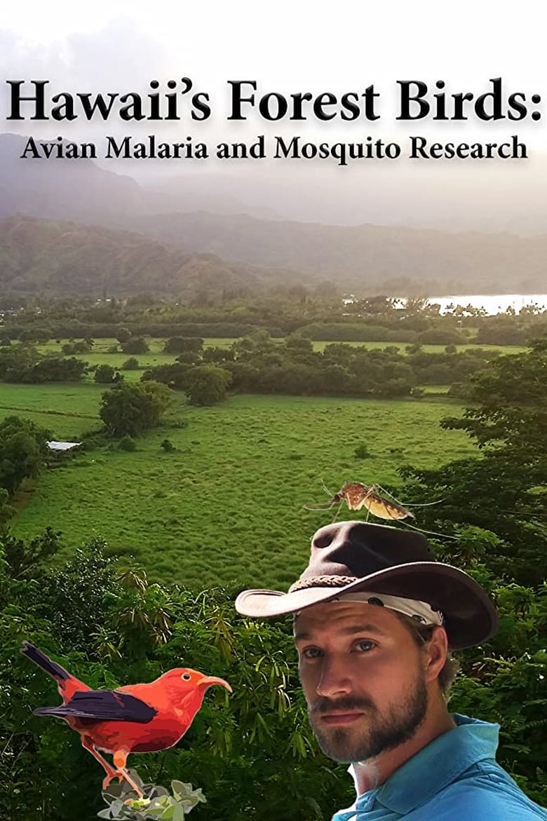 Poster of Hawaii's Forest Birds: Avian Malaria and Mosquito Research