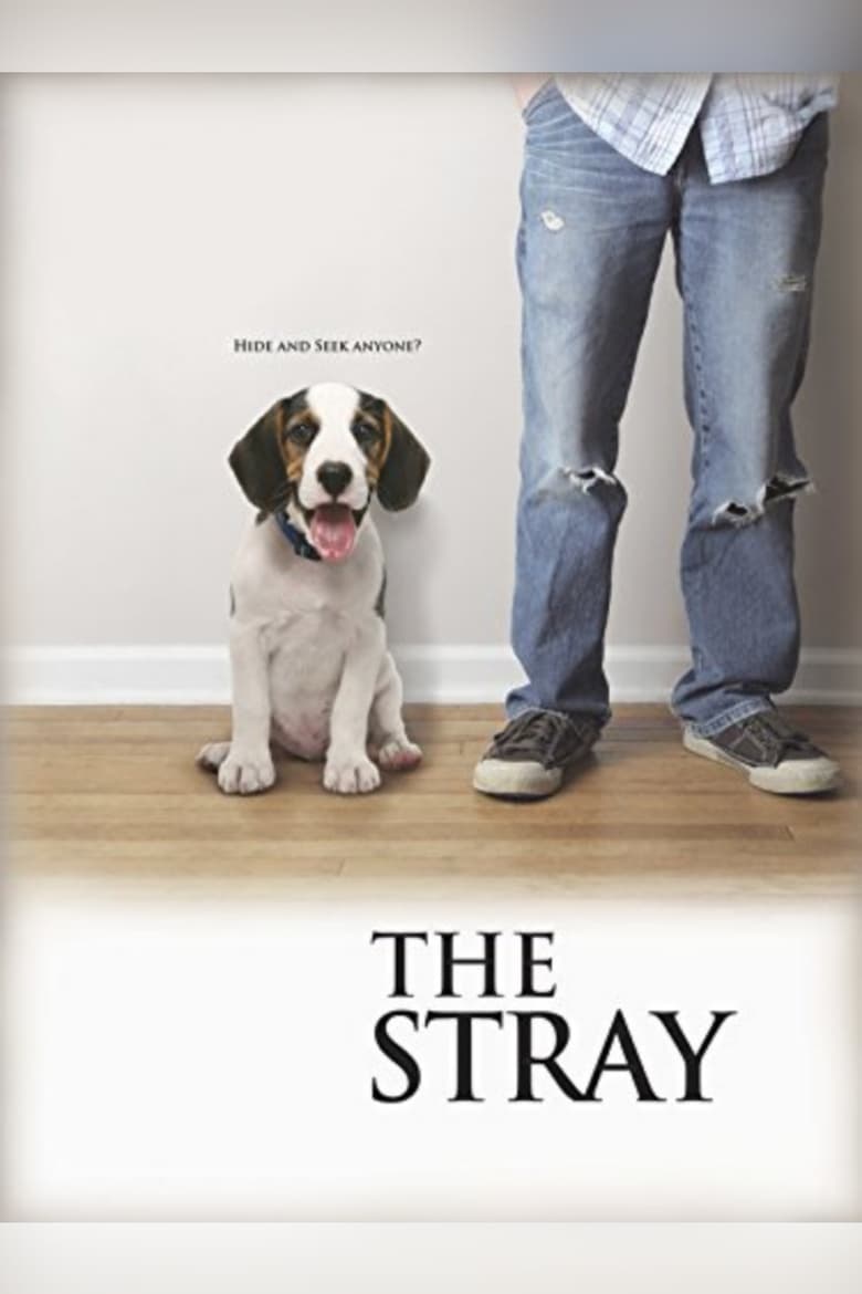 Poster of The Stray