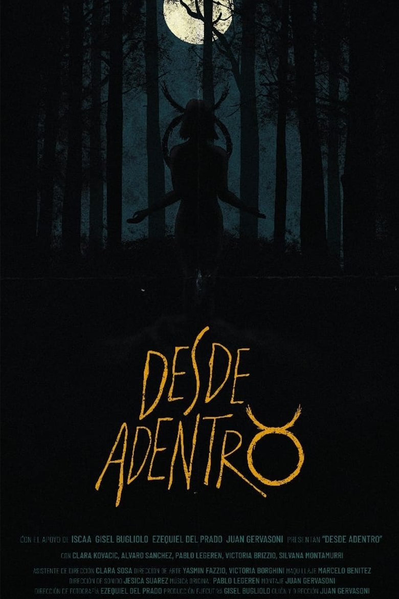 Poster of Desde Adentro