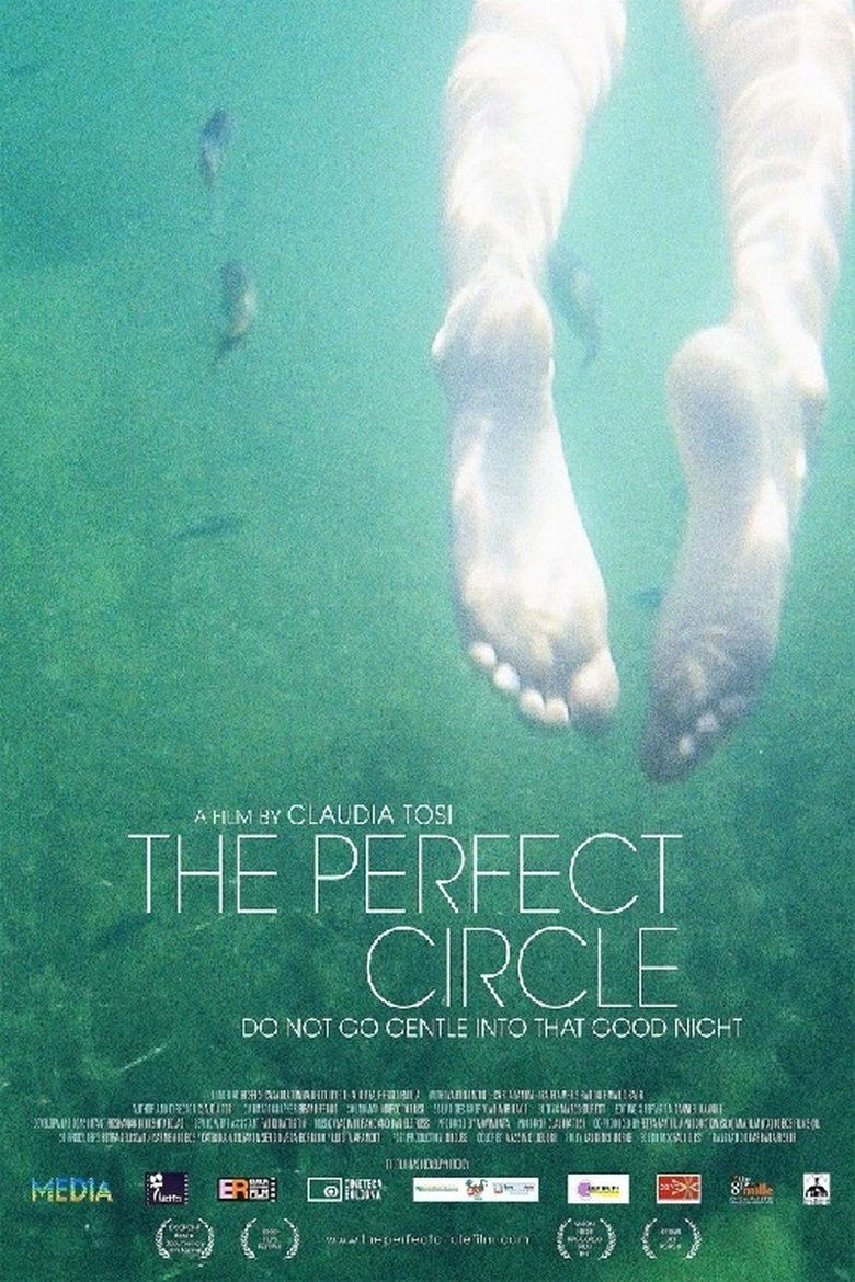 Poster of The Perfect Circle