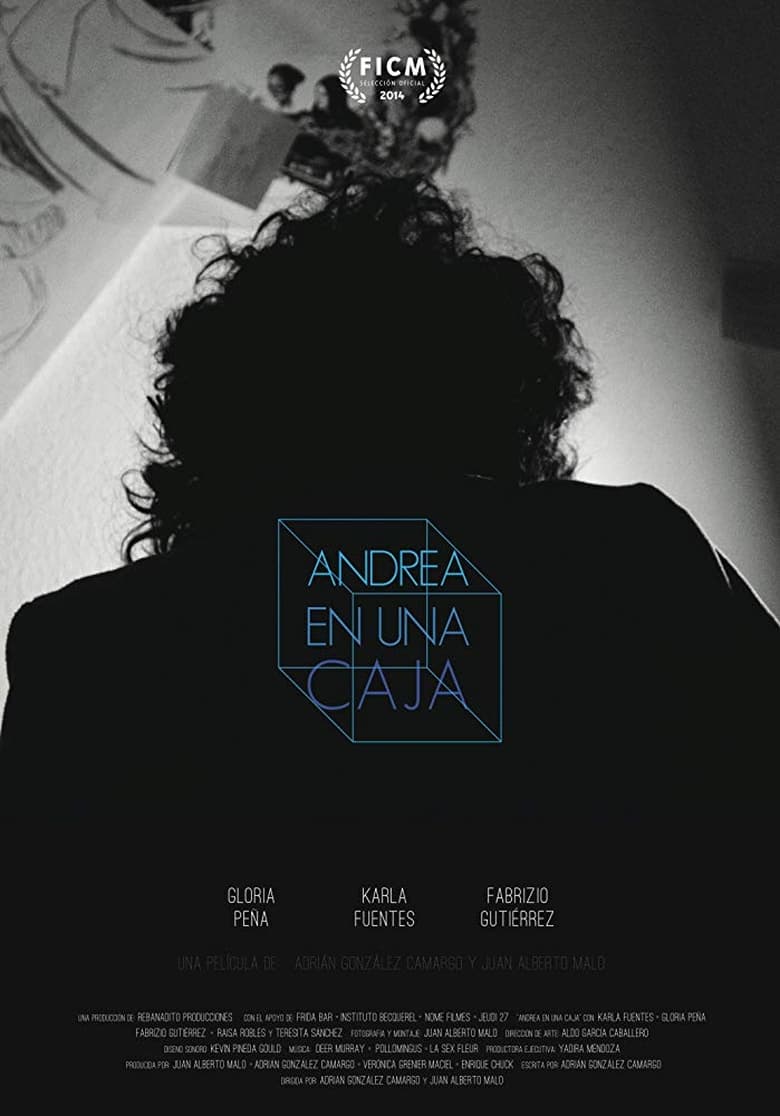 Poster of Andrea Within a Box