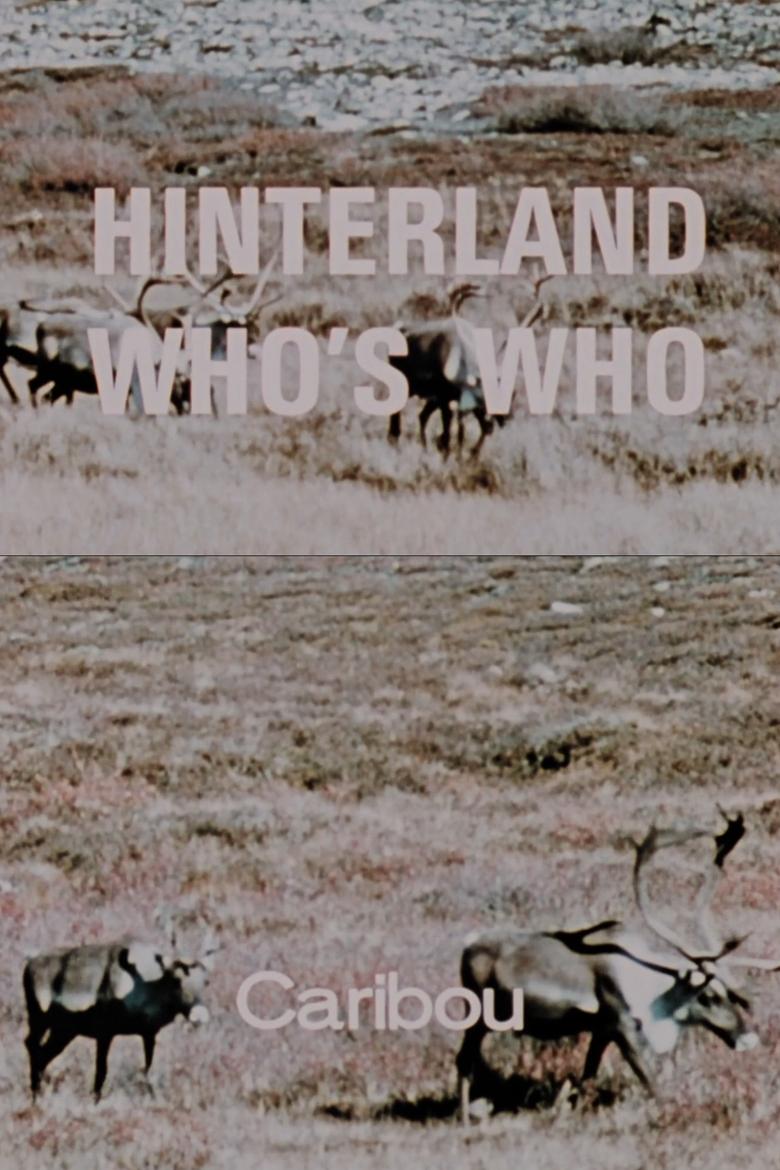 Poster of Hinterland Who's Who: Caribou