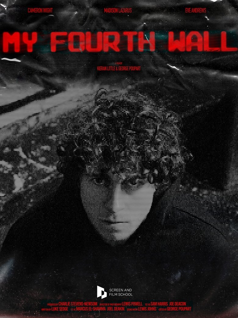 Poster of My Fourth Wall