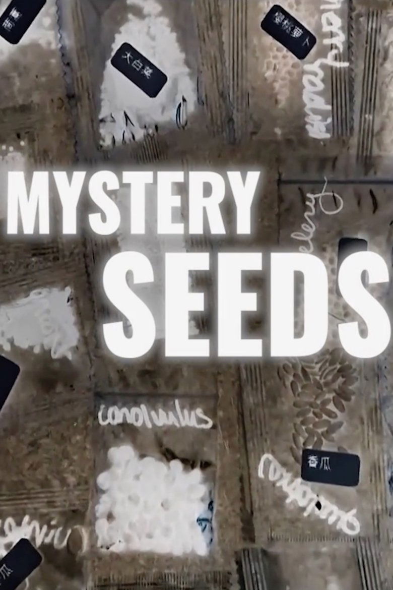 Poster of Mystery Seeds