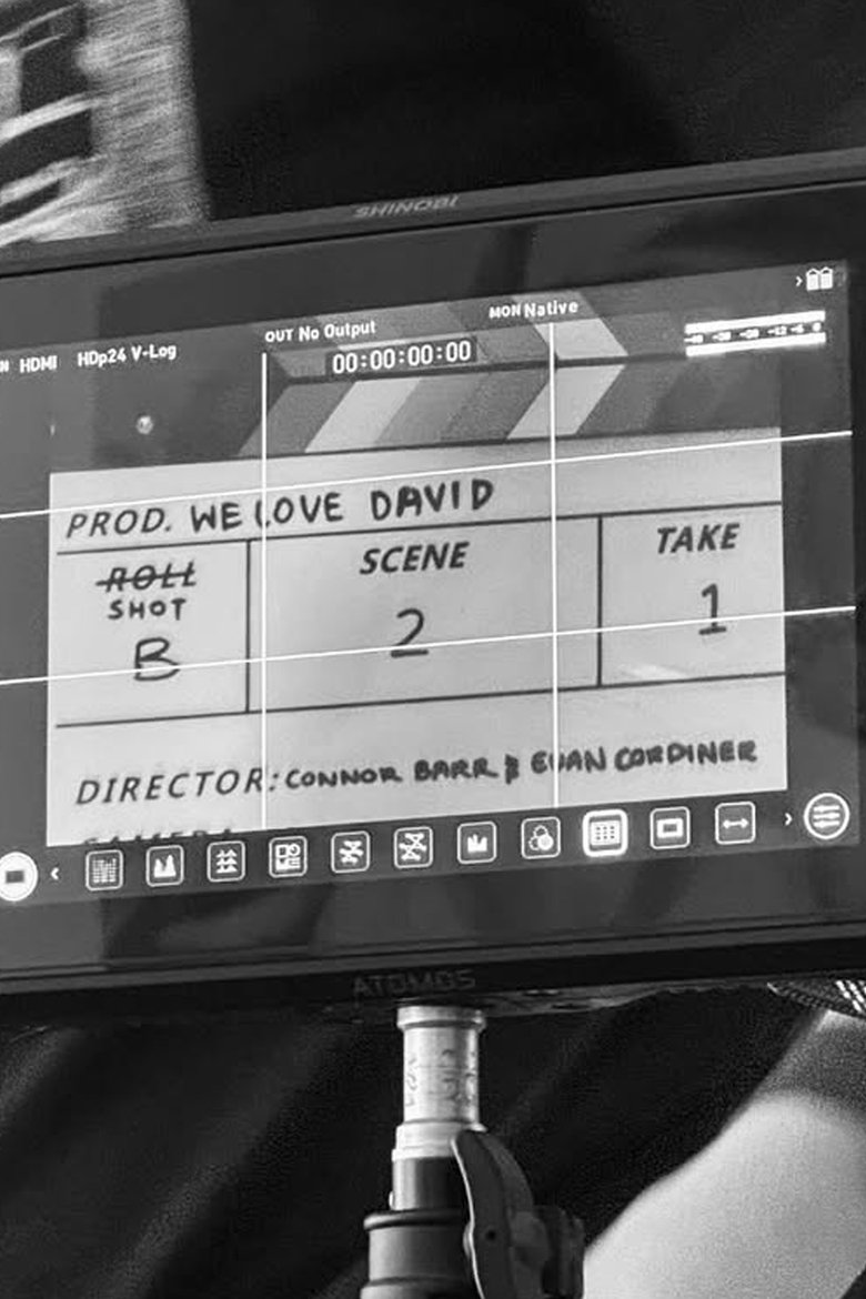 Poster of We Love David