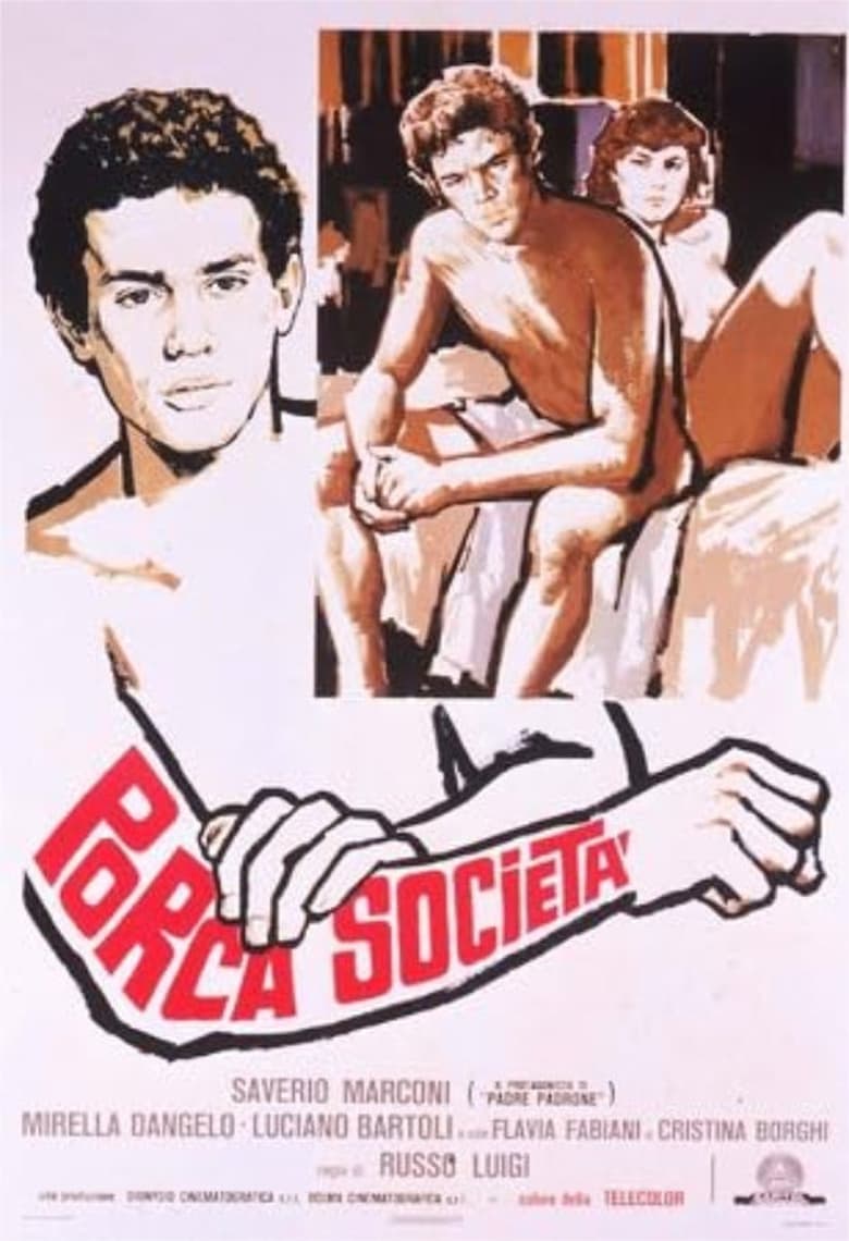 Poster of Porca società