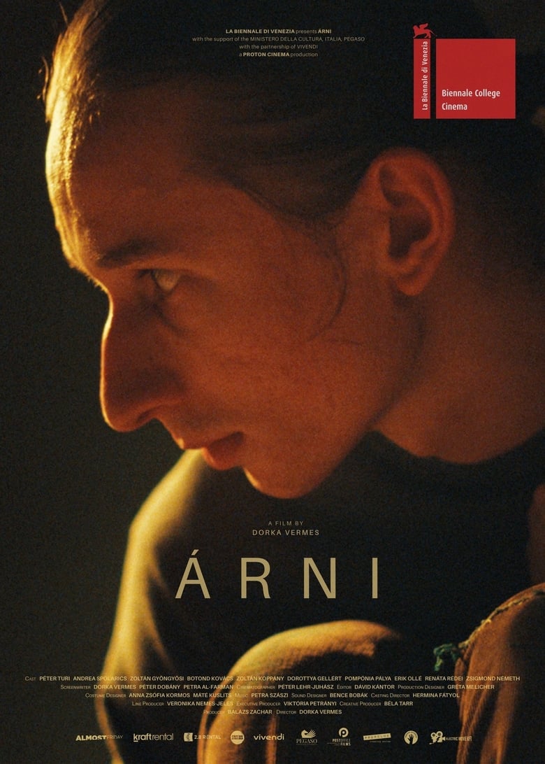 Poster of Árni