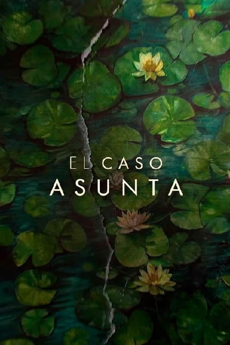 Poster of Episodes in The Asunta Case - Limited Series - Limited Series