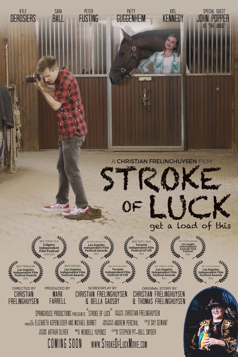 Poster of Stroke of Luck