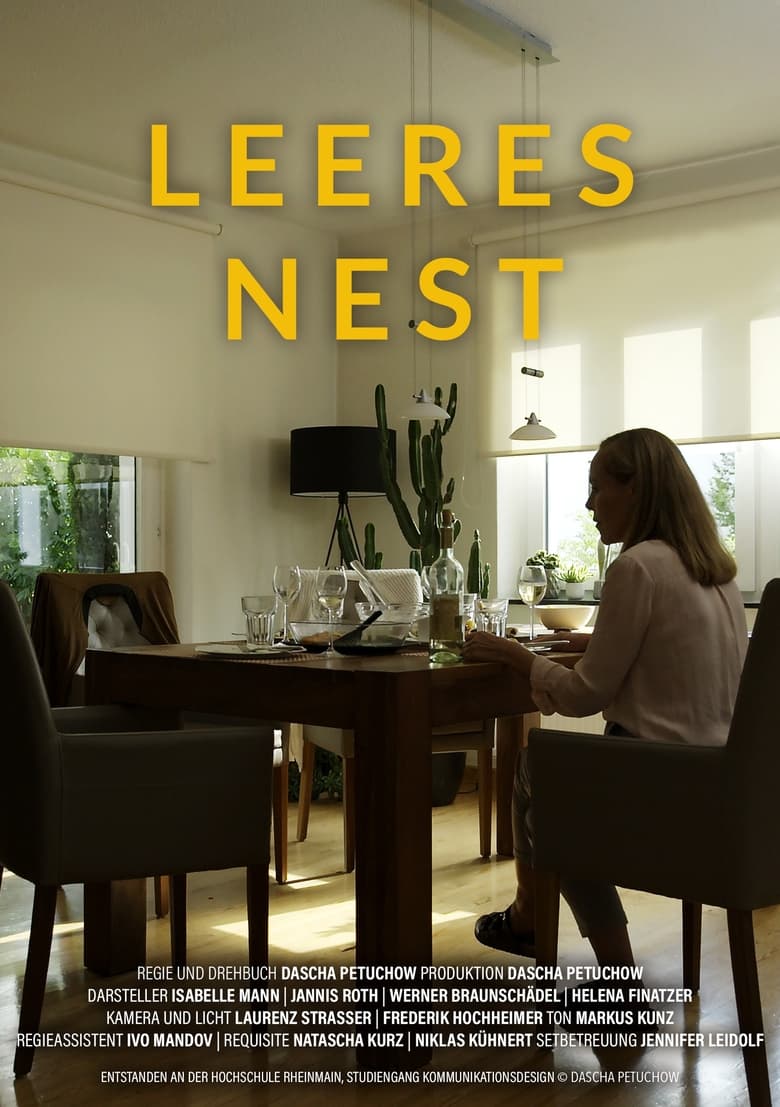 Poster of Empty Nest