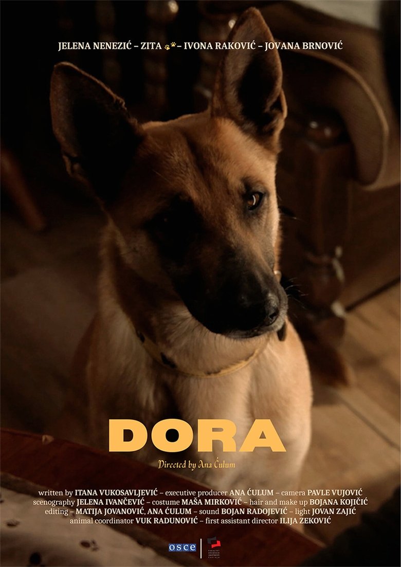 Poster of Dora